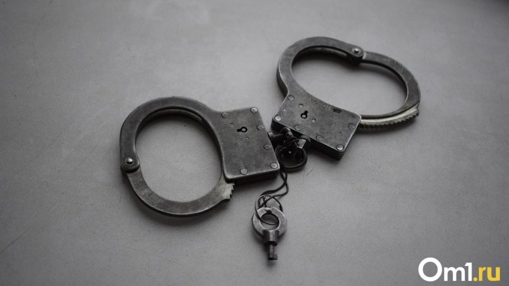 Омские полицейские задержали двух наркокурьеров с крупной партией запрещённых веществ