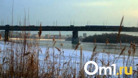 Новосибирск обновит Димитровский мост: 600 миллионов выделено на капитальный ремонт