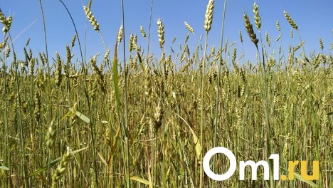 Губернатор Новосибирской области Андрей Травников рассказал о мерах господдержки аграриев