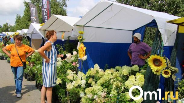 Что купить на омской «Флоре» и сколько это стоит?