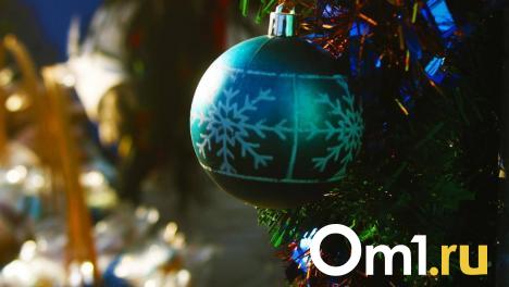 В Омске готовятся к открытию Главной городской Ёлки