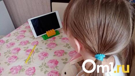 В Омске 10-летняя девочка перевела аферистам 350 тысяч с карты матери
