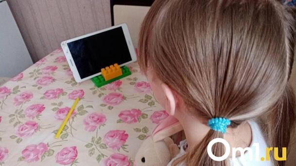 В Омске 10-летняя девочка перевела аферистам 350 тысяч с карты матери