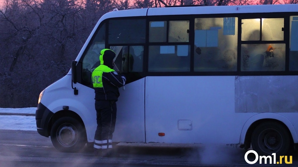 Наряды ДПС в Омске будут массово проверять маршрутки и автобусы