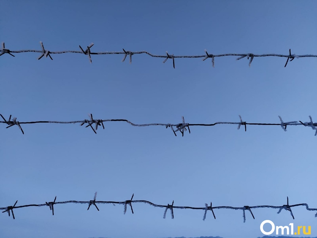 Избивали и крали людей: в Новосибирске банда вымогателей отправится на скамью подсудимых