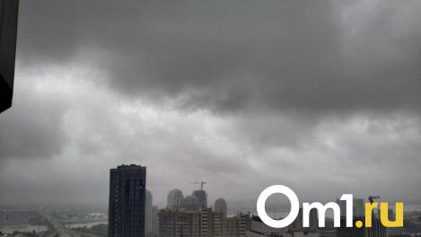 Заморозки до -2 градусов сохранятся в Новосибирской области в начале лета