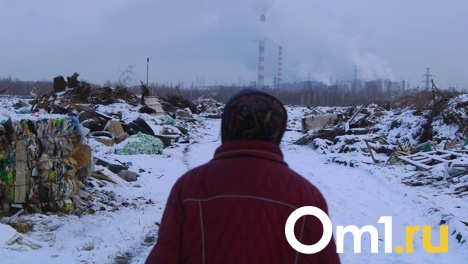 В Омской области за год сократилось количество пенсионеров