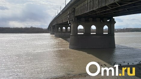 Под Ленинградским мостом нашли тело женщины