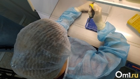 Новосибирский вирусолог Сергей Нетёсов назвал гомосексуалов основными переносчиками оспы обезьян