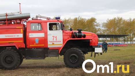 Омичам и новосибирцам, пострадавшим от пожаров, помогут из федерального бюджета