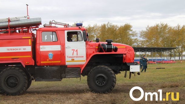 Омичам и новосибирцам, пострадавшим от пожаров, помогут из федерального бюджета
