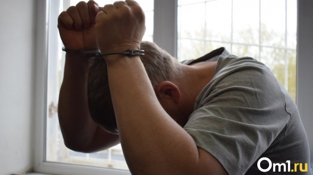 В Омске осудят мужчину за мошенничество на сайте объявлений
