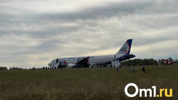 Самолет, летевший из Сочи в Омск, совершил аварийную посадку в поле