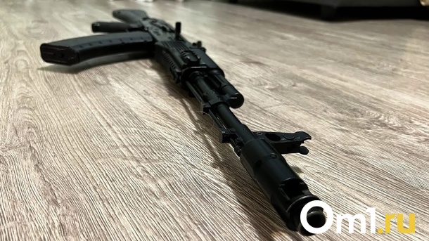 За полгода ради вознаграждения омичи сдали в полицию 86 ружей и пистолетов