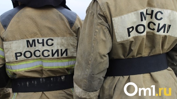 В Новосибирске преступники после убийства пенсионерки подожгли её квартиру