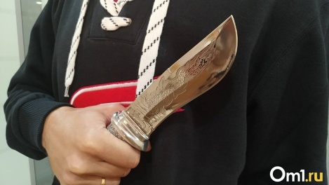 13 ножевых ранений: жителя Новосибирской области судят за убийство бывшей жены и дочери