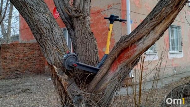 В Омске сезон кикшеринга стартовал с вандализма: самокат забросили на дерево
