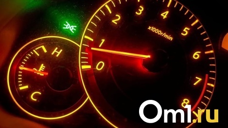 Бензин и газ подешевели, а дизель подорожал. В Омске изменились цены на топливо