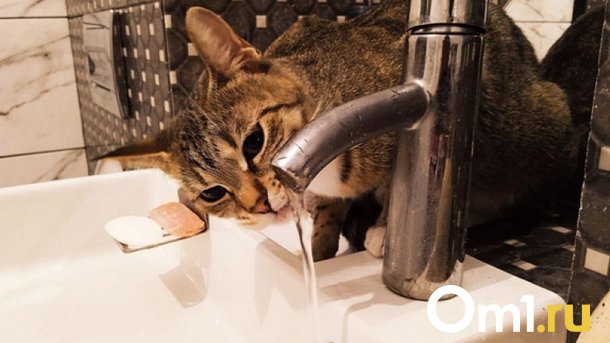Десятки домов в Омске останутся без воды почти на сутки