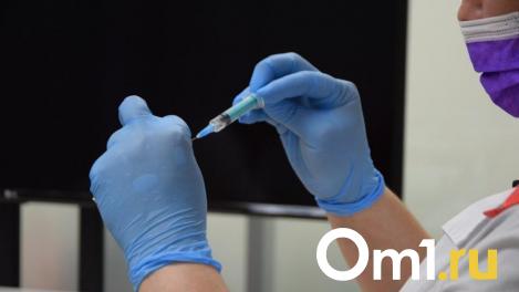 Клещи атакуют: почему новосибирские дети первыми попали в группу риска