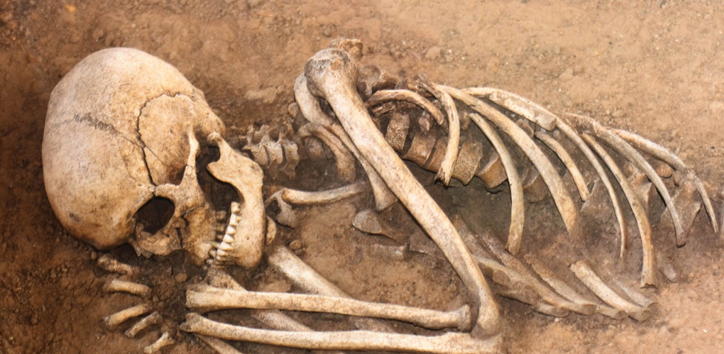 В Омской крепости рабочие нашли части человеческого скелета