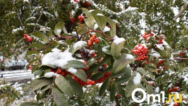Опубликована дата первого снегопада в Омске