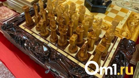 Кибершахматы за 60 000 купят чиновники для омских детей