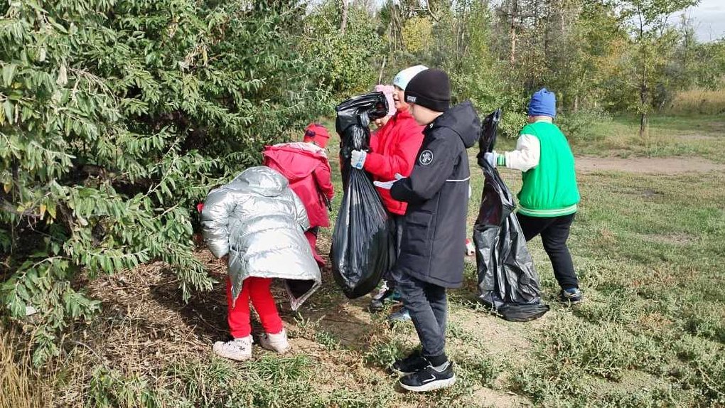 Волонтеры вместе с регоператором убрали свалку на берегу озера Чередовое