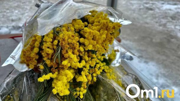В Омске к 8 Марта мимозы продают от 150 рублей за букет