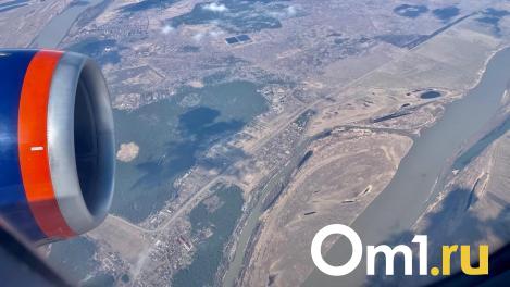 В двигатель самолёта, летевшего в Омск, попала птица