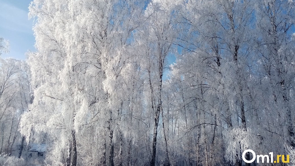 Синоптики прогнозируют ослабление морозов в Новосибирске: рассказываем, когда потеплеет