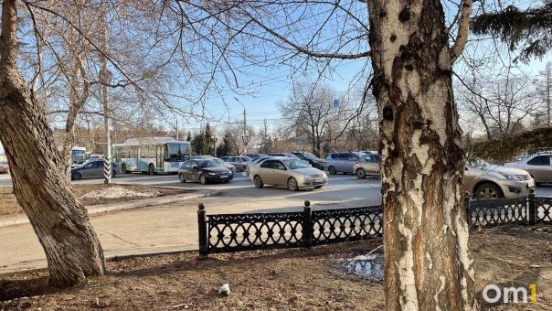 В Омске вырубят деревья, ветки которых царапали новые вагоны трамвая № 7