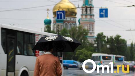 Шторм с градом и ветром до 25 метров в секунду обрушится на Омск ночью