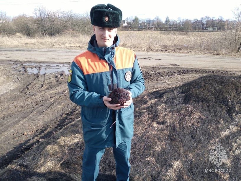 Изображение фоторепортажа