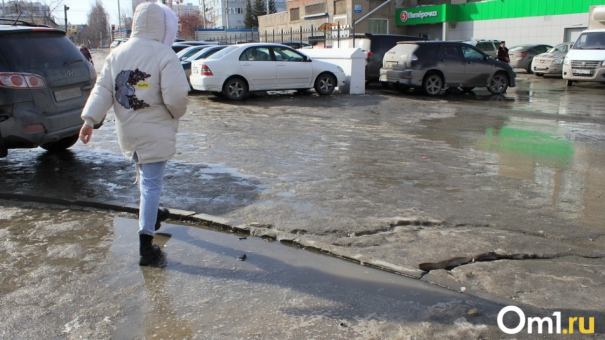 Мэр Новосибирска Анатолий Локоть ответил на возмущения горожан использованием «Бионорда»