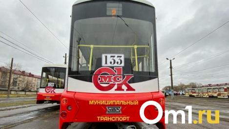В Омске трамвайные пути скрылись под водой