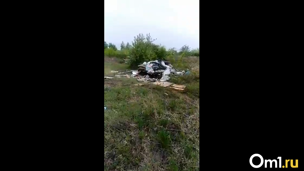 В СНТ под Омском вываливают мусор на территорию заброшенных дач - ВИДЕО