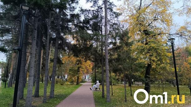 В начале октября новосибирцам пообещали аномальное потепление