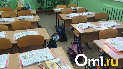 Рейтинг школ по отзывам 2ГИС составили в Новосибирске