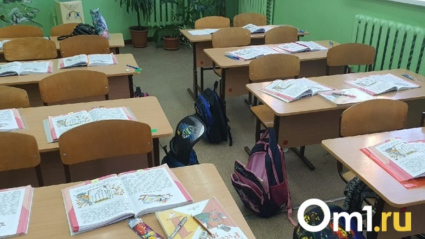 Рейтинг школ по отзывам 2ГИС составили в Новосибирске