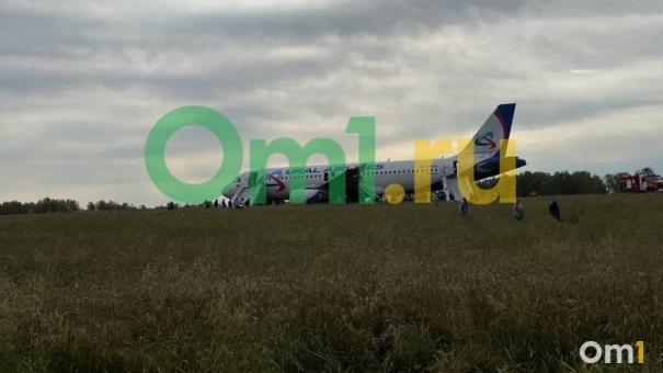«Плюхнулись в поле»: пассажир рейса Сочи – Омск рассказал об аварийной посадке