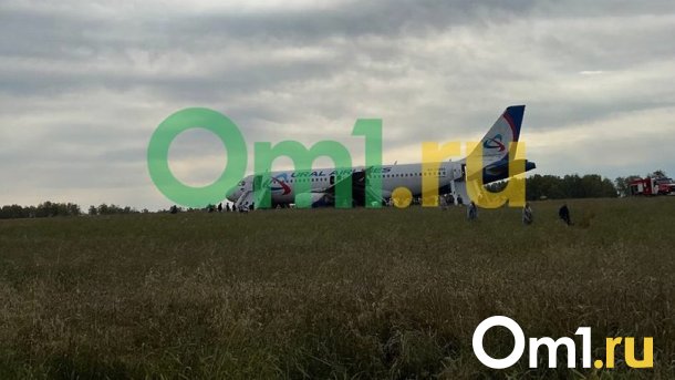 «Плюхнулись в поле»: пассажир рейса Сочи – Омск рассказал об аварийной посадке
