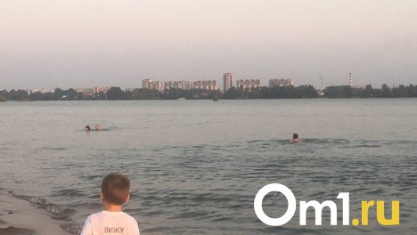 На Оби из-за снижения уровня воды образовались мели