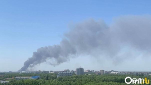Стало известно, кто является источником загрязнения омского воздуха