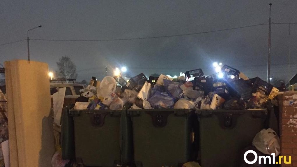 «Экологию-Новосибирск» уличили в навязывании невыгодных условий по вывозу мусора