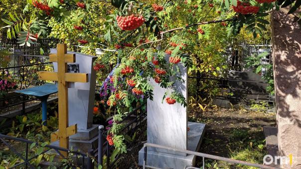Прокуратура занялась незаконными захоронениями под Омском