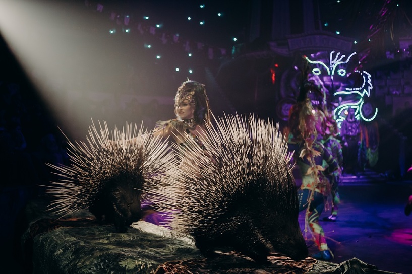 Изображение фоторепортажа