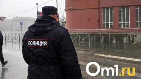 Полиция нашла омича, который выбросил собаку с третьего этажа