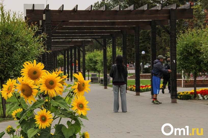 Изображение фоторепортажа