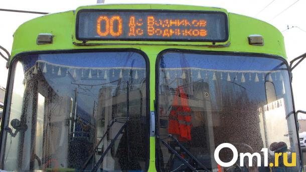 Мэрия планирует возродить древний троллейбусный маршрут